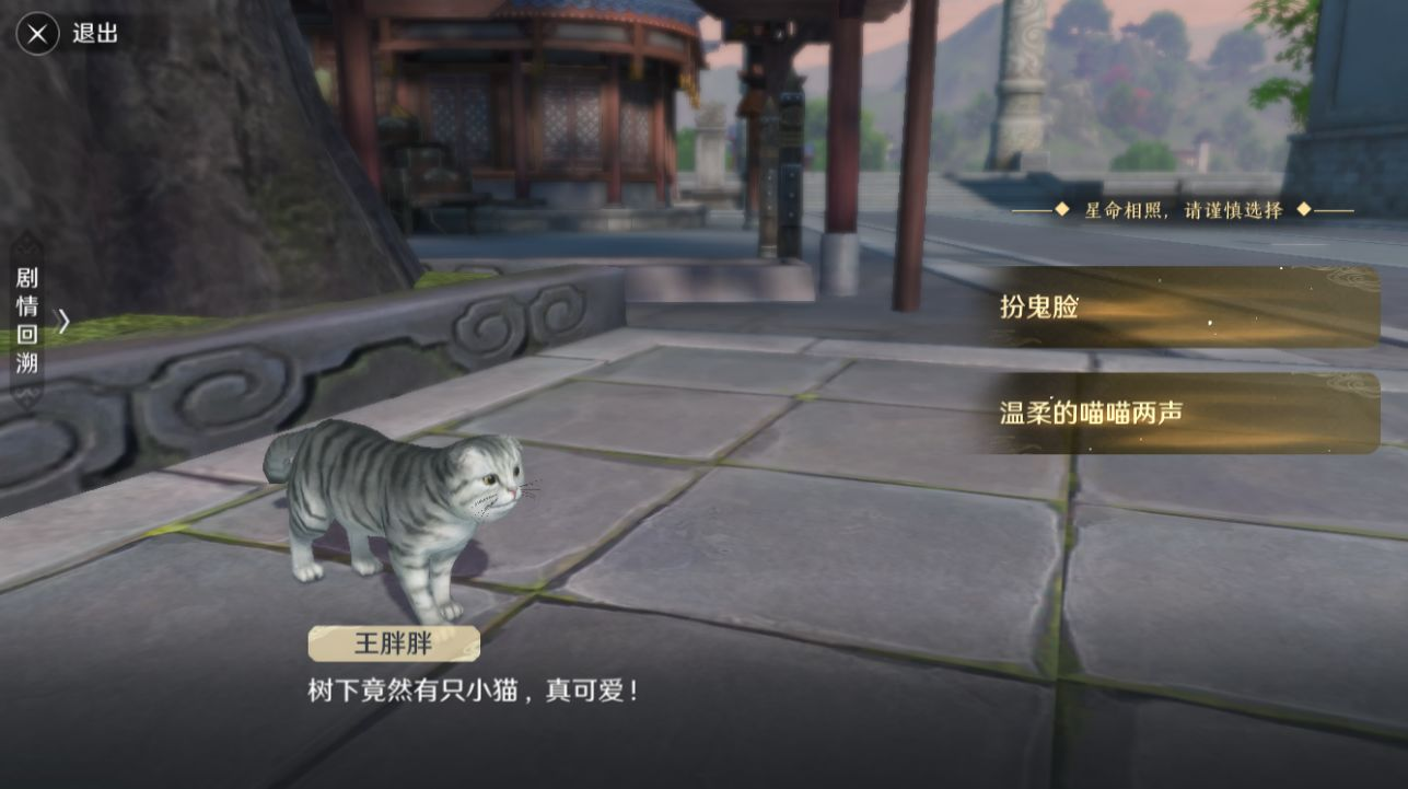 天涯明月刀猫之友奇遇任务怎么做